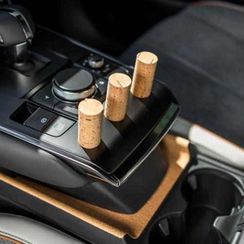 Φελλός αυτοκίνητο