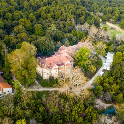 Βασιλικά κτήματα