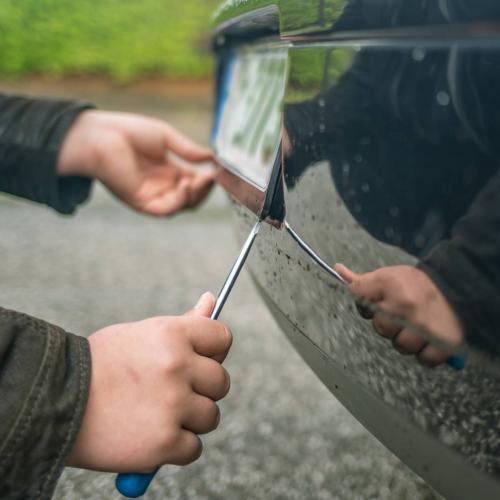 car theft licence plate