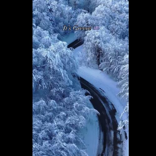 dasos grammenis oksias