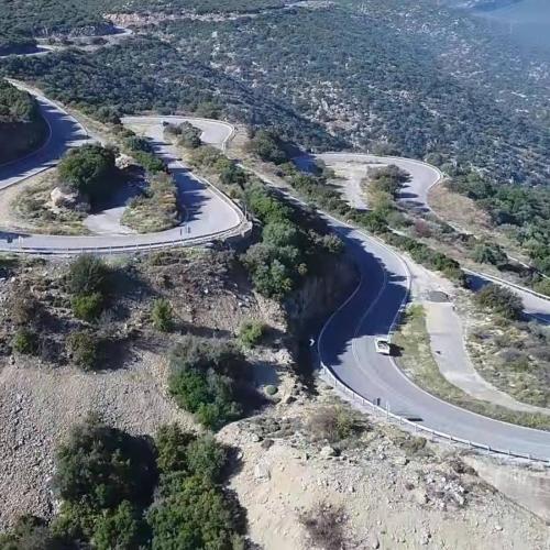 κωλοσούρτης