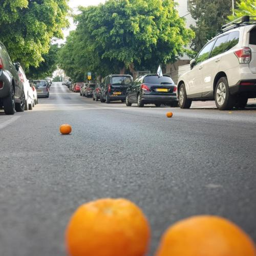 πορτοκάλια