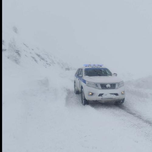 περιπολικά 