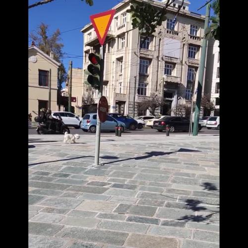 fanari vasilissis olgas