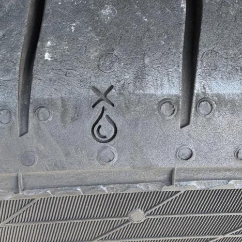 stagona nerou elastika