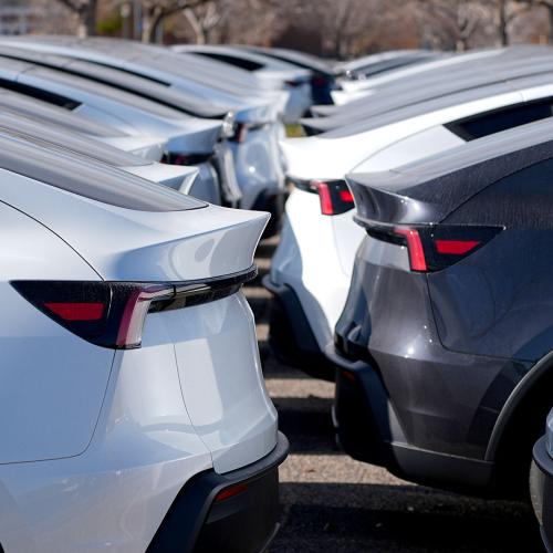 Tesla Model Y lot