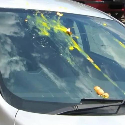 κόλπο με το αυγό