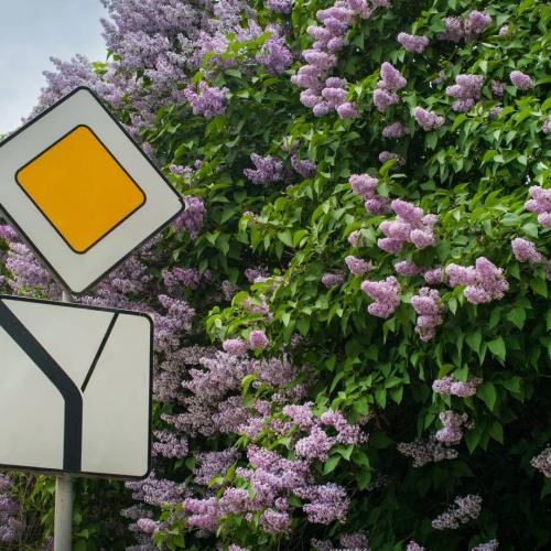 άγνωστο σήμα