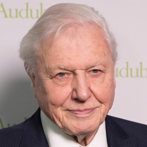 David Attenborough