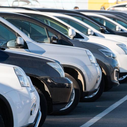 cars dealer