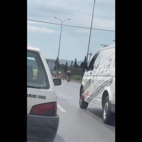 Ποδηλάτης 