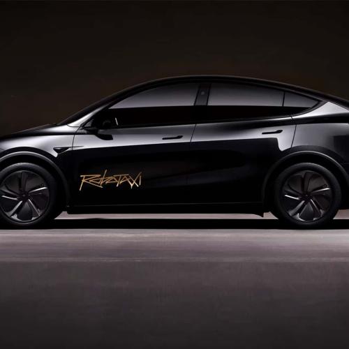 tesla robotaxi