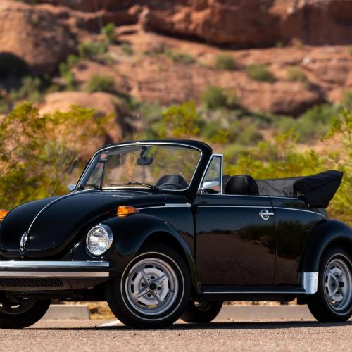 vw beetle