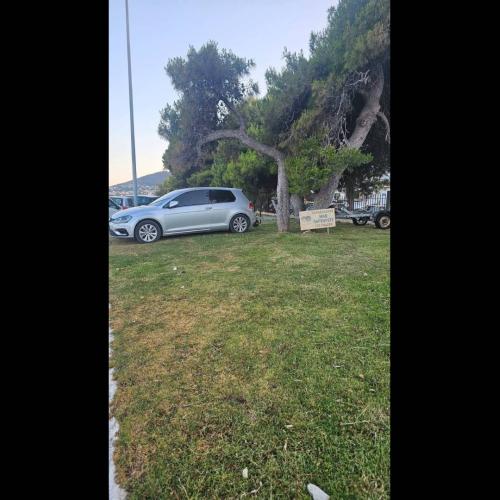 γκαζόν 