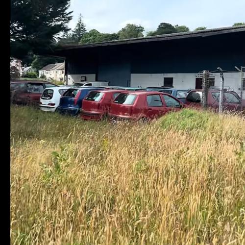 fiat ireland dealer