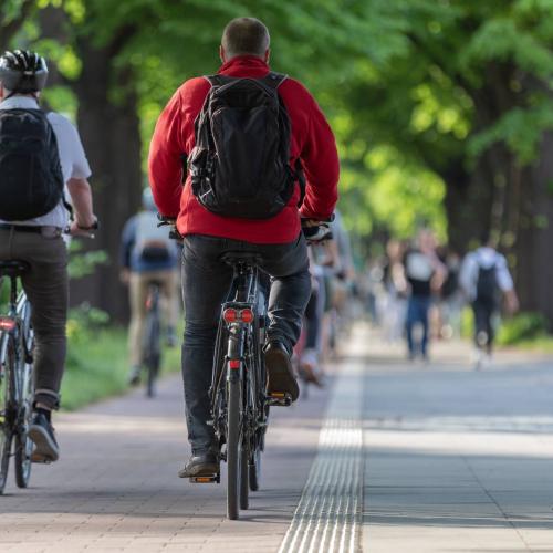 cyclist