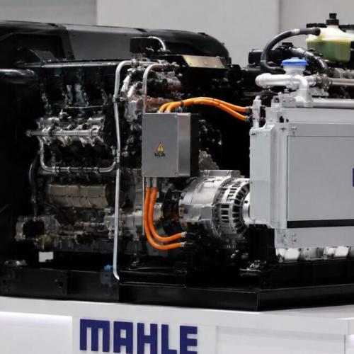 mahle