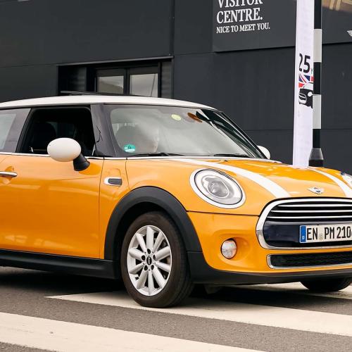 mini