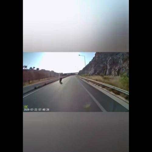 βίντεο 